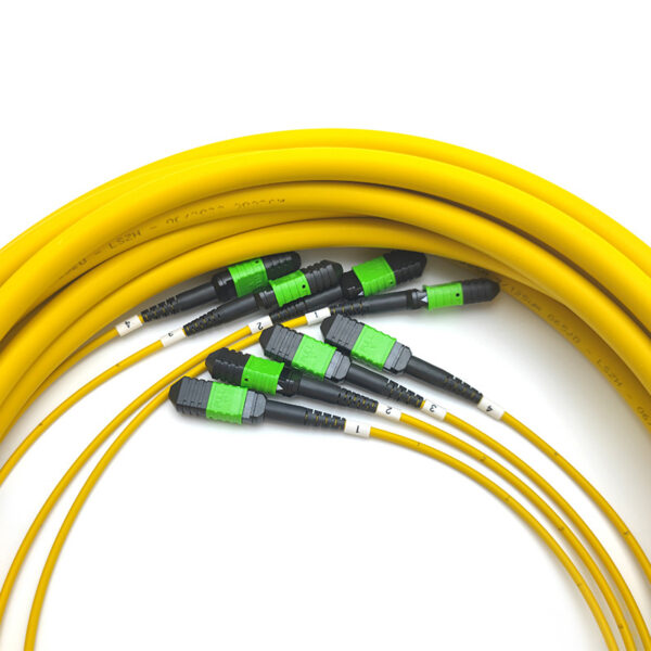 Sm 9125um 48f(4x12) Mpo Mpo Trunk Cable