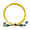 Sm Mtp Pro
