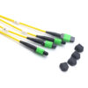 Sm Os2 9125um 48f Mpo Mpo Trunk Cable