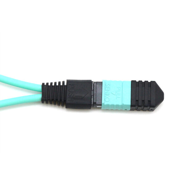 12f Mpo Senko