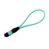 12f Om3 Mpo Loopback