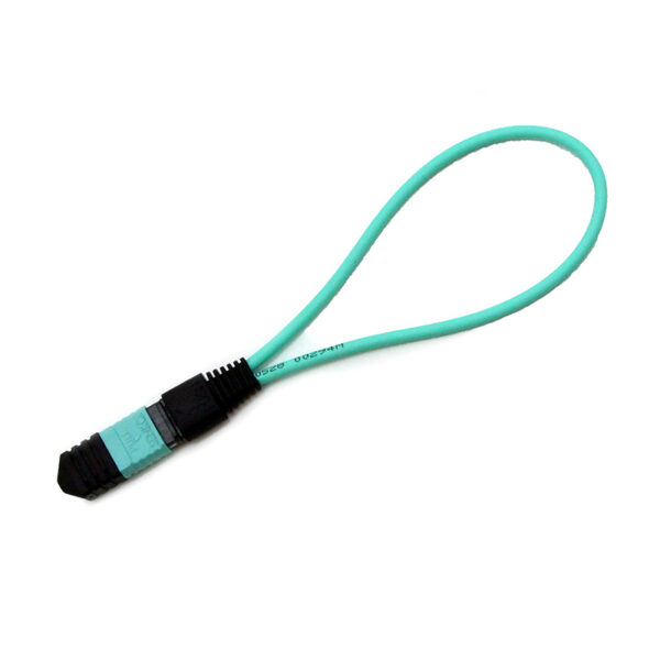 12f Om3 Mpo Loopback