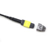 12f Sm Mtp Elite Connector