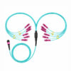 24f Om4 Mpo Lc Fanout 2.0mm Harness Cable