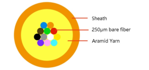 Cross‑section 1