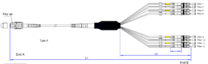 Drawing &polarity4